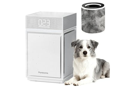 Large Room Air Purifier