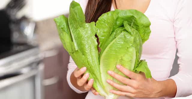 We're Facing a Huge Lettuce Shortage Right Now — Here's Why card image