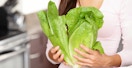 lettuce shortage - A person holding some romaine lettuce in their kitchen