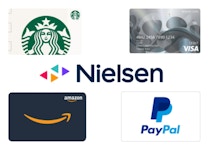 Nielsen Computer and Mobile Panel