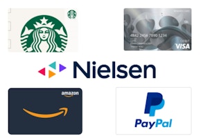 Nielsen Computer and Mobile Panel