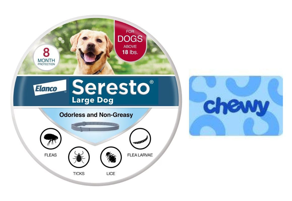 Seresto Flea & Tick Collar