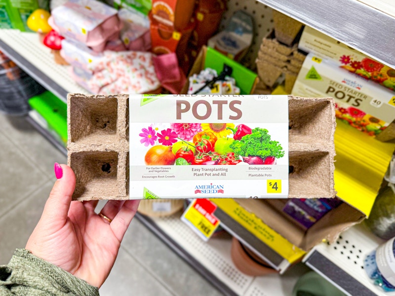 dollar general seed pots