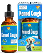 Dog Coughing Treatment