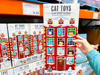 costco-cat-advent-calendar-3
