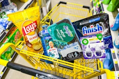 groceries in a dollar general shopping cart
