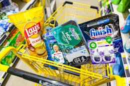 groceries in a dollar general shopping cart