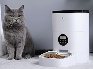 amazon cat automatic feeder 2022 2 1651498741 1651498741