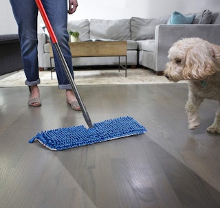 Someone pushing a mop on hardwood floors next to a dog