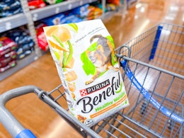 Big Savings on Purina Beneful Dog Food at Walmart — Only $2.48 After Ibotta card image