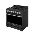 36-in Gas Range