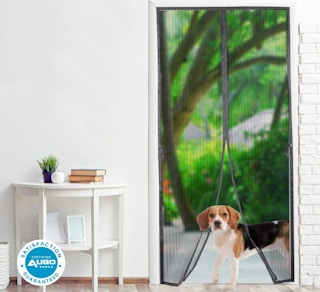 A dog walking through a magnetic screen door into a home