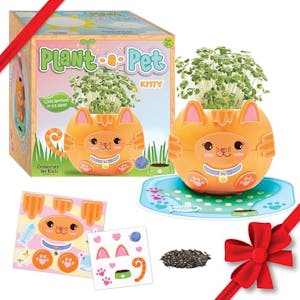 Plant a Pet Kitty Chia Pet Art Kit