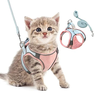 Pet Harness and Leash Set