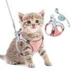 Pet Harness and Leash Set