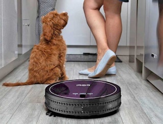 best-buy-bobsweep-bobi-classic-vacuum-2020