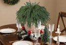 a Norfolk pine cedar stems as a centerpiece on a dinning room table 