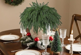 a Norfolk pine cedar stems as a centerpiece on a dinning room table