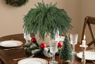 a Norfolk pine cedar stems as a centerpiece on a dinning room table