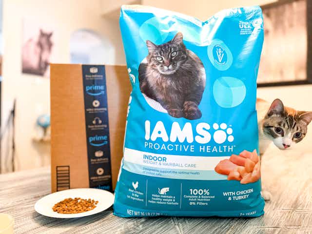 Save on Iams Dry Pet Food With High-Value Amazon Coupons card image