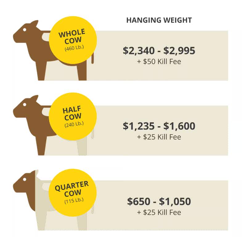 how-to-buy-a-cow-price-chart-cuts-of-beef-hanging-weight-graphic-1681410580-1681410581
