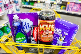 dollar general groceries in a cart