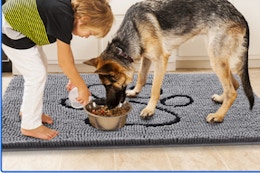 Chenille Dog Doormat, Only $8.99 on Amazon (Reg. $14.99) card image