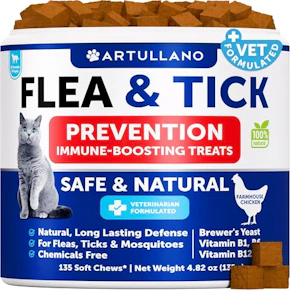 Cat Flea Treatment
