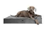 Noah & Paw XL Dog Bed