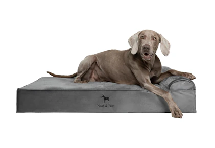 Noah & Paw XL Dog Bed
