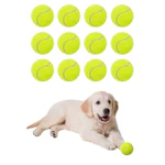 Tennis Balls 12-Pack