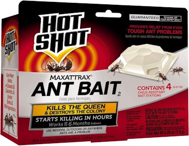 Hot Shot Ant Bait