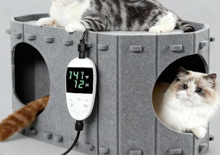 cats in a grey heated cat house 