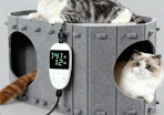 cats in a grey heated cat house