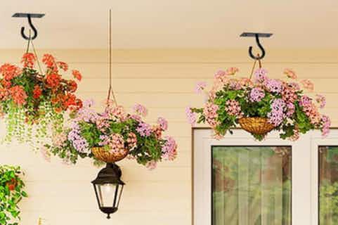 Ceiling Hooks 2-Pack for Hanging Plants, Only $3.95 on Amazon