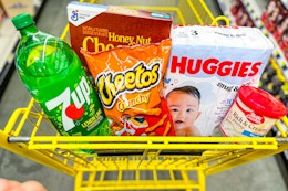 dollar general groceries in shopping cart