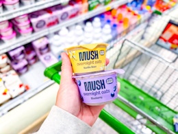 publix-mush-overnight-oats