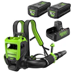 Greenworks Backpack Leaf Blower