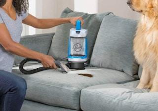 A person vacuuming a couch while a dog sits nearby.