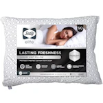 Sealy Elite Pillow