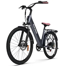 Electric Bike for Adult
