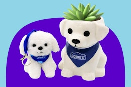 lowe's keychain and planter