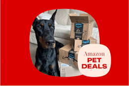 amazon-pet-deals-12