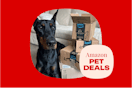 amazon-pet-deals-12