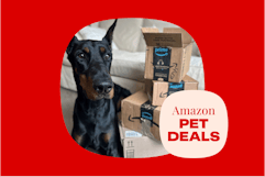 amazon-pet-deals-12