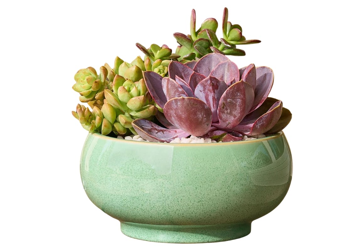 Better Homes & Gardens Planter