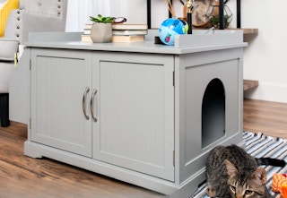 bcp cat litter box