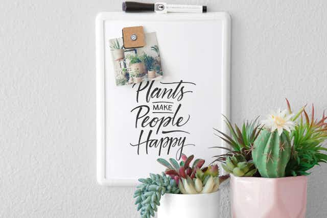 Magnetic Dry Erase Board, Only $3.87 at Walmart card image