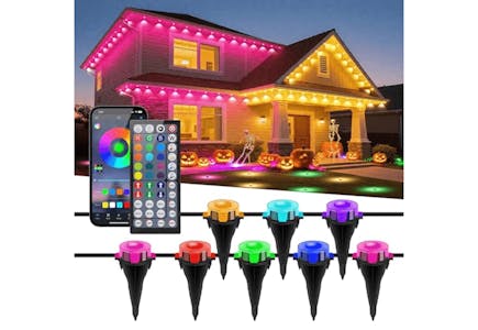 Permanent Outdoor Lights