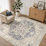 Area Rug